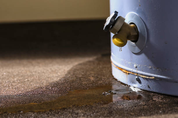 Best Residential water damage restoration  in Twin Falls, ID