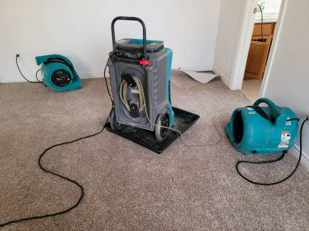 Best Flood damage cleanup  in Twin Falls, ID