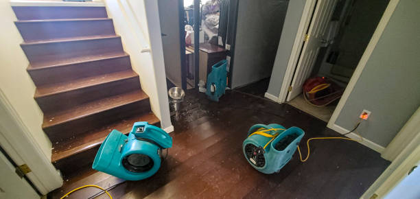, ID Water damage restoration Company
