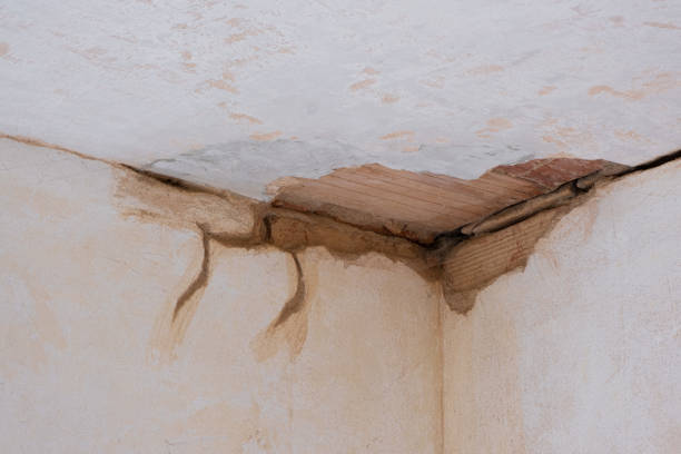 Best Professional water damage repair  in Twin Falls, ID