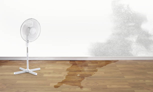Best Water damage restoration mold remediation  in Twin Falls, ID