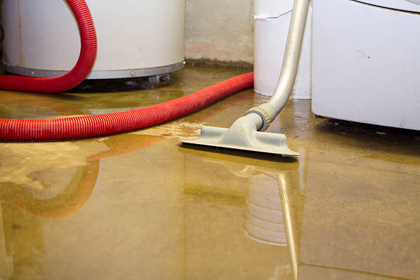 Best Professional water damage repair  in Twin Falls, ID
