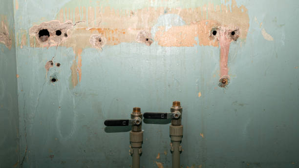 Best Water damage contractors near me  in Twin Falls, ID