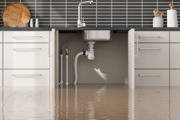 Best Water damage restoration near me  in Twin Falls, ID