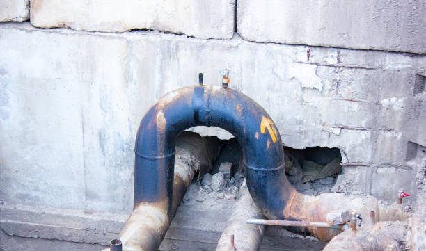 Best Mold removal after water damage  in Twin Falls, ID