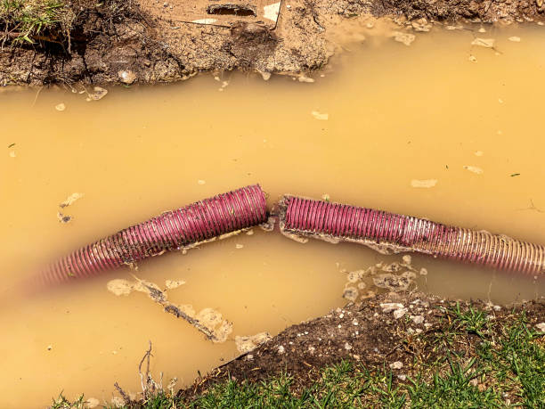 Water damage restoration mold remediation in ID